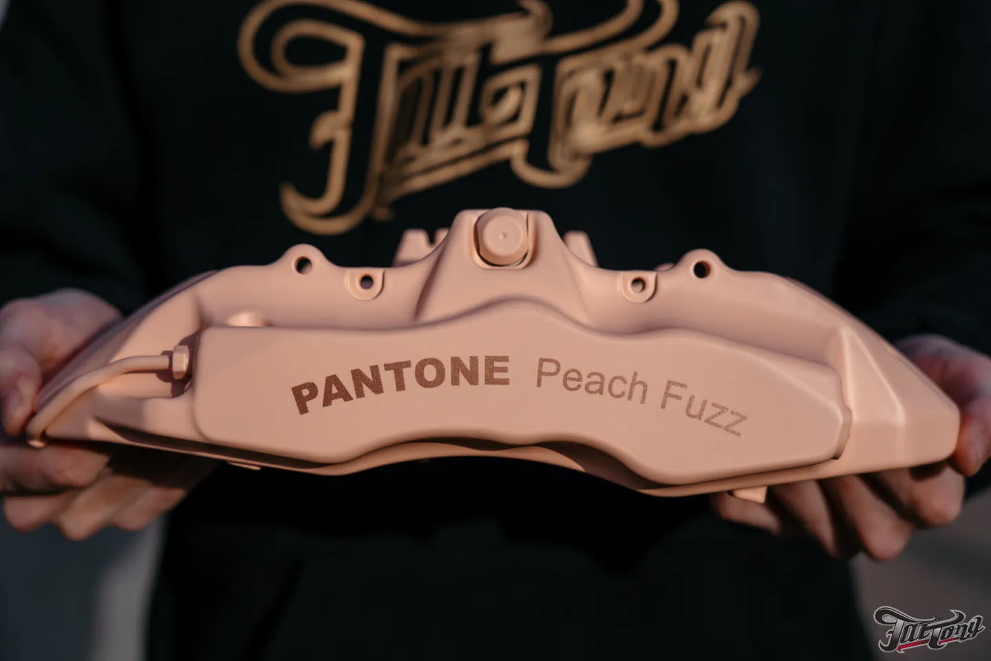 Суппорта в цвете 2024 года от Pantone Peach Fuzz